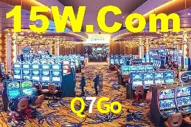 Premium Interface Q7Go